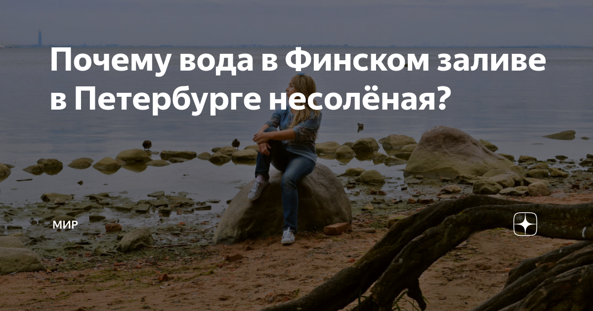 В финском заливе вода соленая или пресная