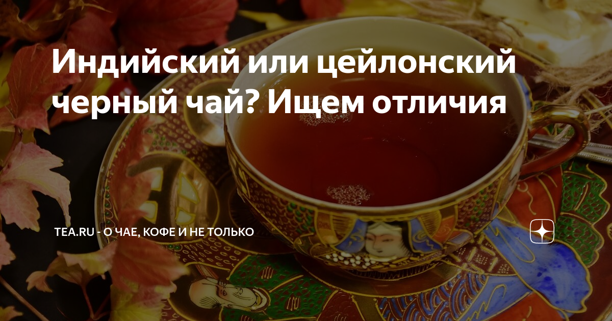 Индийский или цейлонский черный чай? Ищем отличия | Журнал "ТЧК" | Дзен
