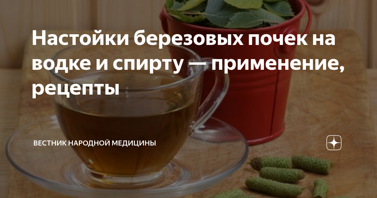 Березовая настойка рецепт. Настой из почек березы. Березовые почки. Настойка березовых почек. Березовая настойка рецепт.