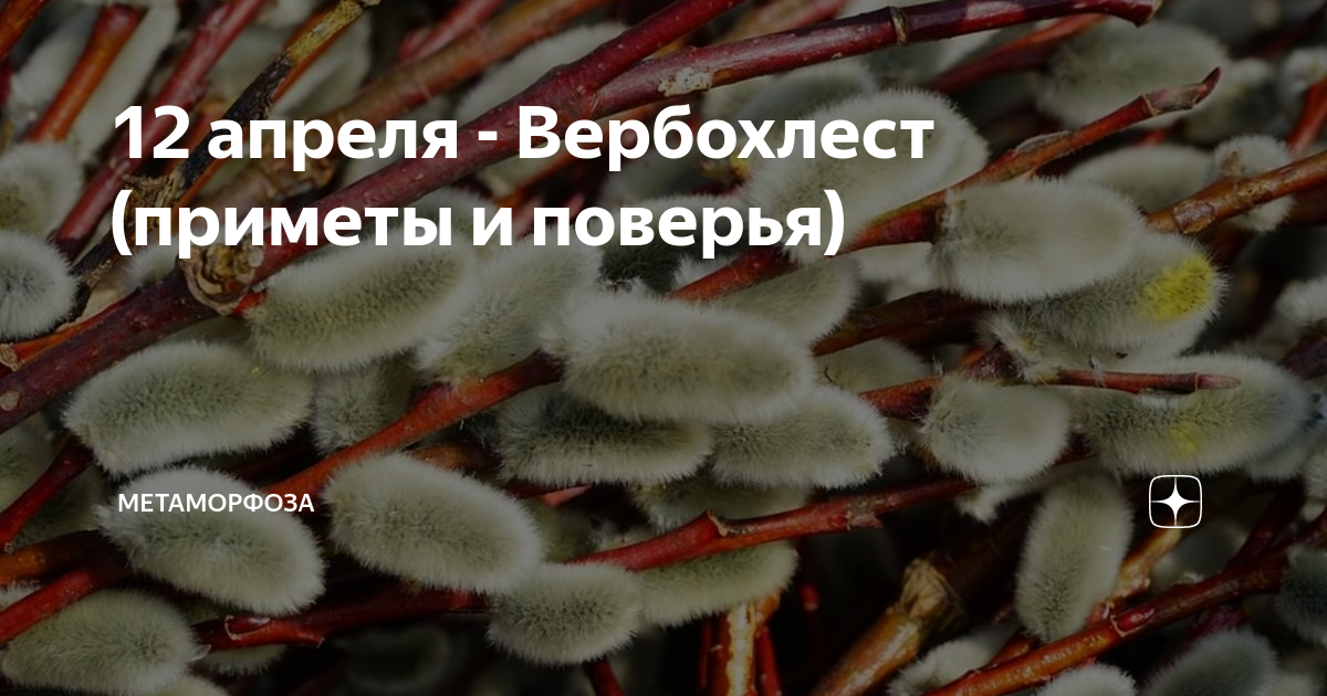 21 декабря приметы и поверья