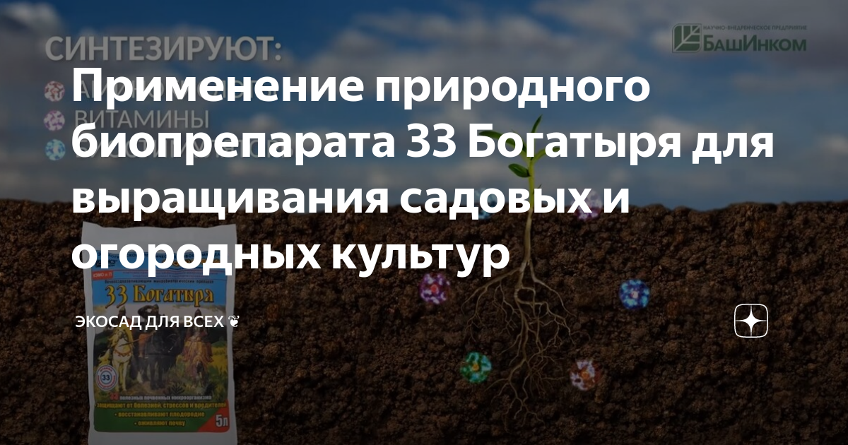 Применение природного биопрепарата 33 Богатыря для выращивания садовых ...