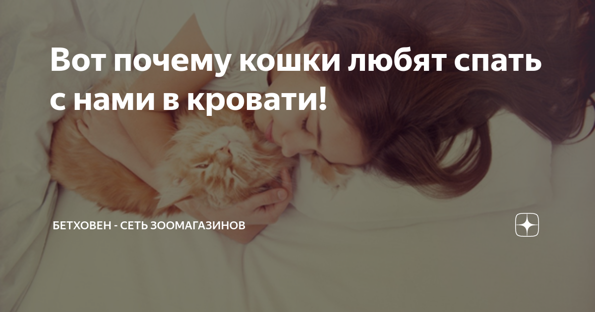 Почему кошки много спят и днем. Почему кошки спят с хозяйкой. Почему кошки спят с хозяевами на кровати. Почему кот перестал спать на кровати. Почему кошки спят на человеке.