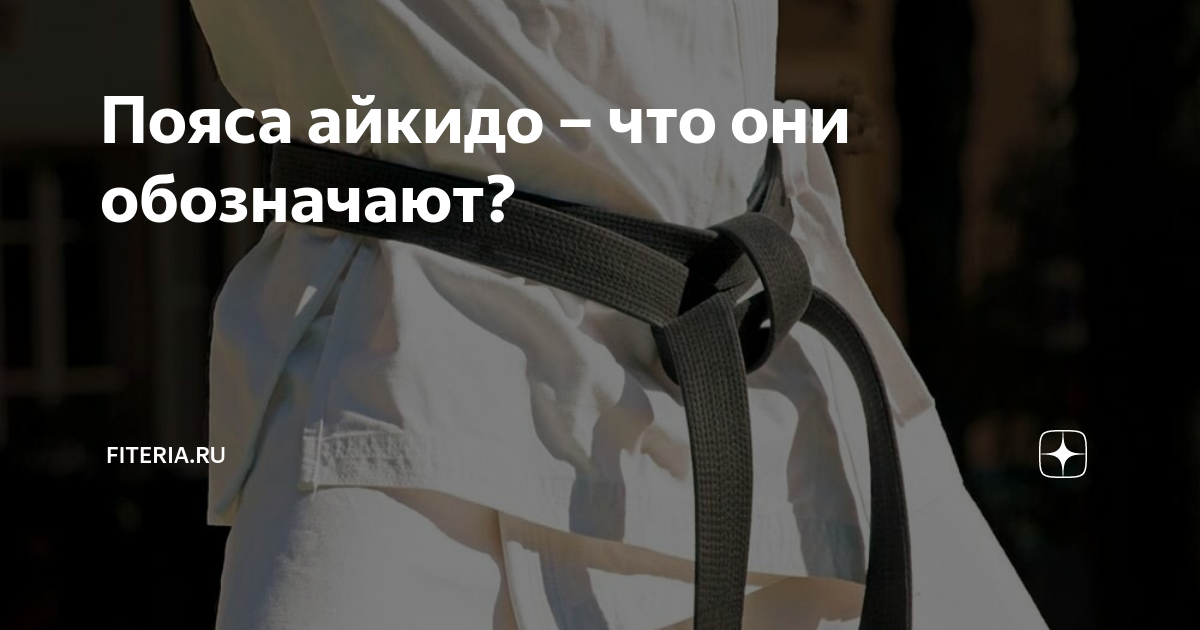 Пояса айкидо – что они обозначают? | Начни с тренировки | Дзен