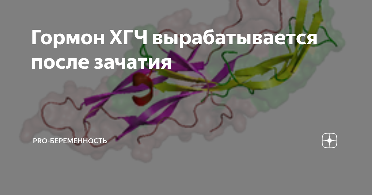 Падает хгч — 70 ответов акушера на вопрос № | СпросиВрача