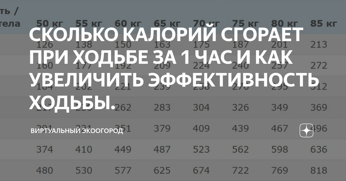 Ходьба калории за 1. Сколько калорий тратится при ходьбе. Количество сжигаемых калорий при ходьбе. Сколько калорий сжигается при часе ходьбы. Сколько сжигается калорий при ходьбе 10000 шагов.