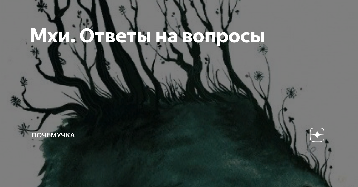 ГДЗ учебник по биологии 5 класс Пасечник. § Вопросы после параграфа Номер 1