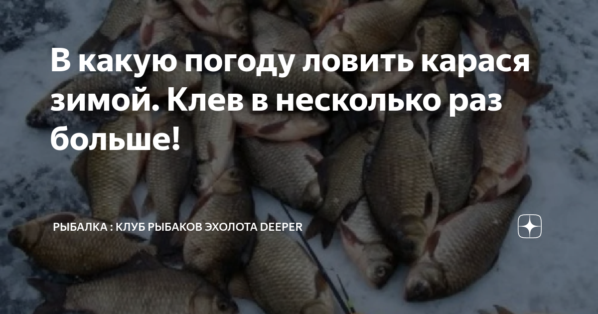 Ловить погоду. Почему зимой не клюет карась. В какую погоду клюет Амур. В какую погоду клюет Карп в мае.