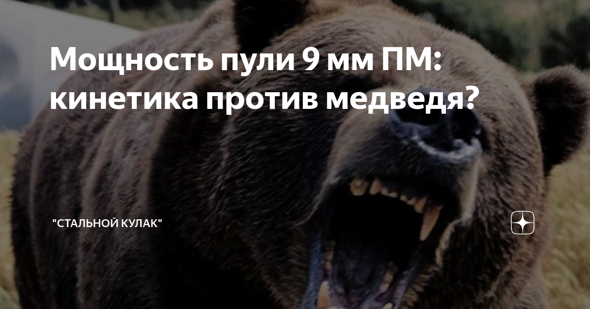 Мощность пули 9 мм ПМ: кинетика против медведя? | "Стальной кулак" | Дзен