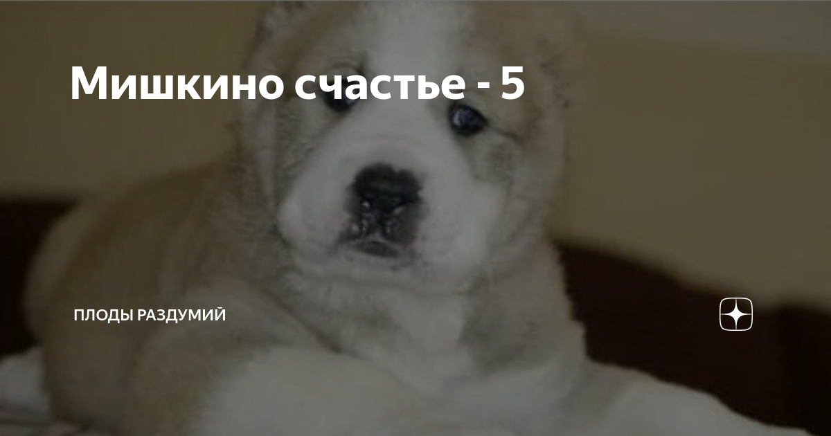 Мишкино счастье - 5 | Плоды раздумий | Дзен