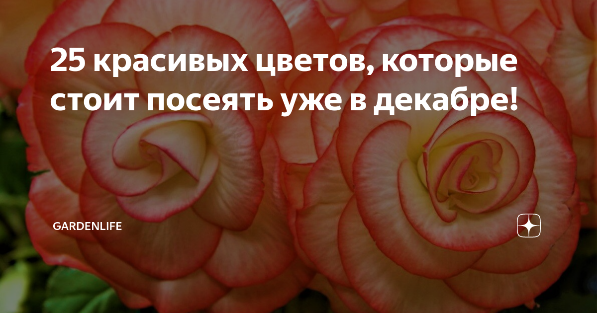 таиланд в декабре стоит ли ехать