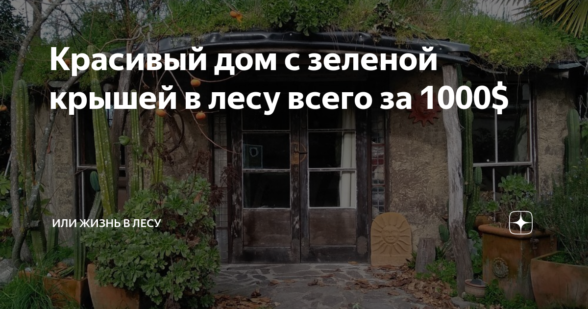 Построить дом за 1000 долларов