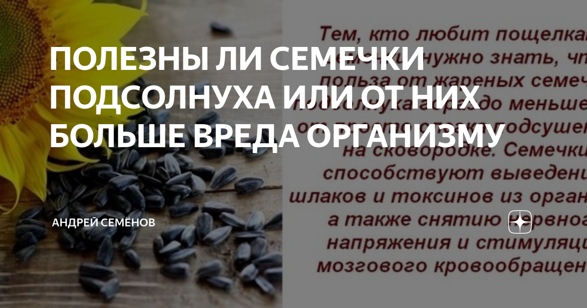 Чем опасны семечки: 10 причин отказаться - Экспресс газета