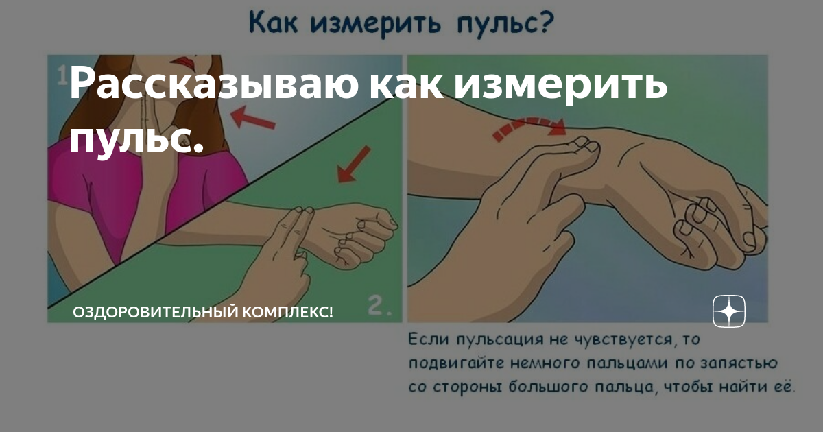 Чаще всего пульс измеряют на. Как измерить пульс. как правильно измерять пульс. как отмерять пульс. как мерить пульс вручную.