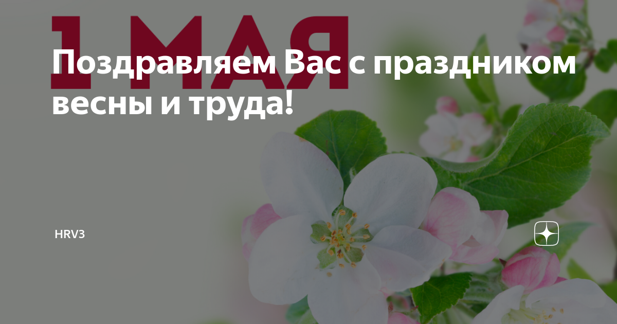 Поздравляем Вас с праздником весны и труда! | HRV3 | Дзен