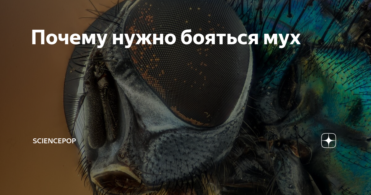 Осы рой. Боязнь мух. Комары мультяшные. Человек убегает от комара. Человек убегает от комара.