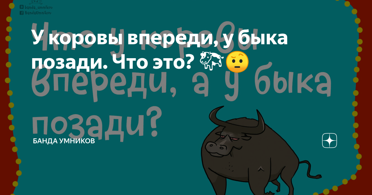 что у коровы впереди у быка позади. саблистость задних конечностей крс. выбор корова. бабушка шошо загадки для детей. что у коровы впереди у быка позади.
