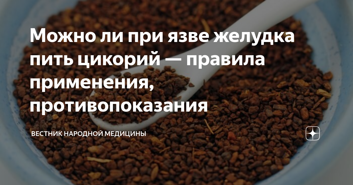 При язве пьют цикорий. При язве пьют цикорий