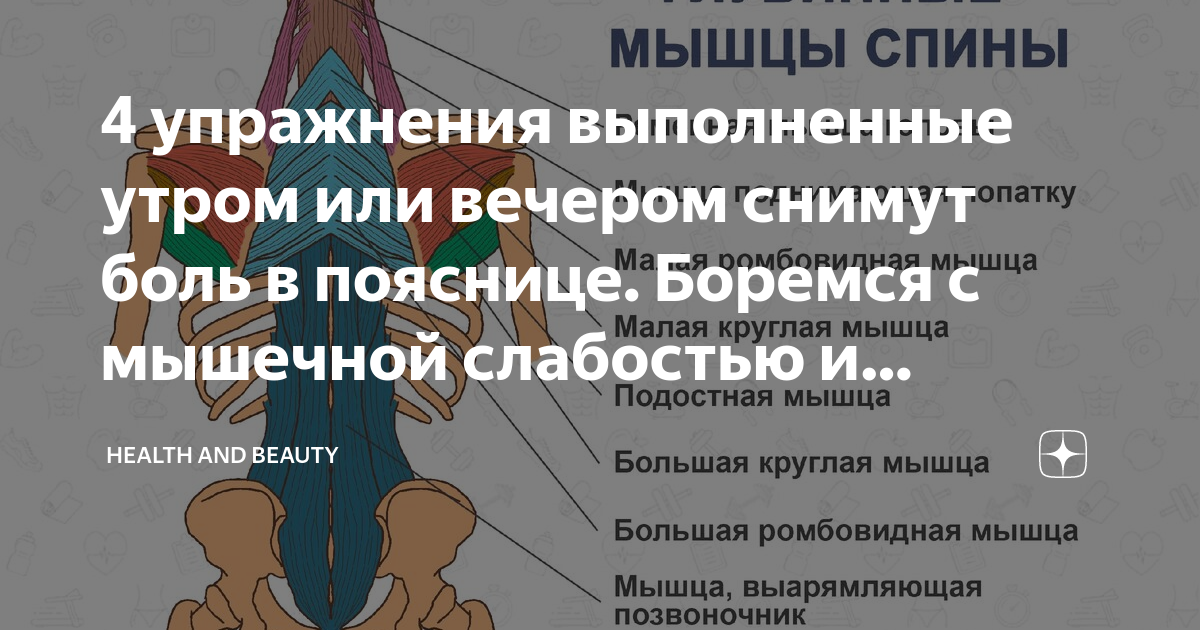 Как узнать болит поясница или почки. Как понять болит почка или мышца спины. Болят почки или спина. Как отличить боль в почках от боли в пояснице. Отличие почечной боли от поясничной.