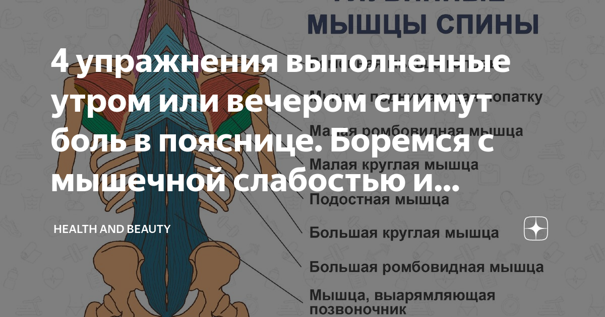 Как понять болит почка или мышца спины. Болят почки или спина. Как отличить боль в почках от боли в пояснице. Отличие почечной боли от поясничной.