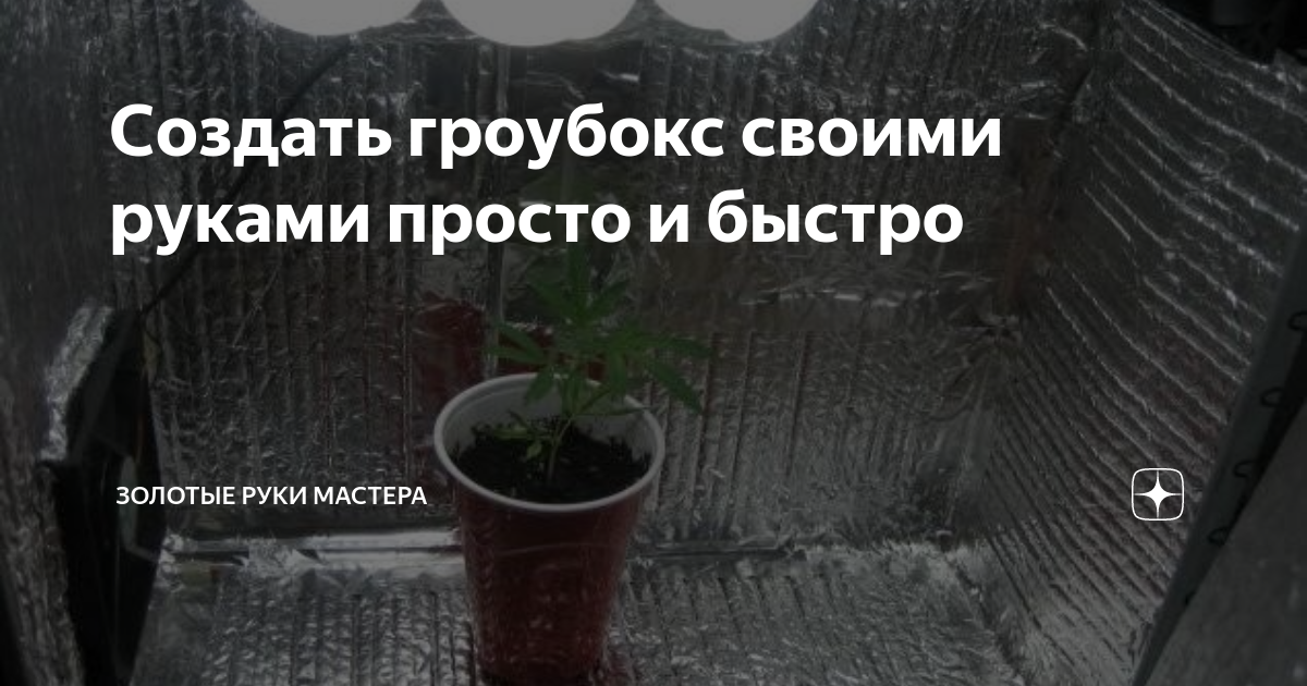 Гроубокс своими руками:🌱 как собрать в домашних условиях?