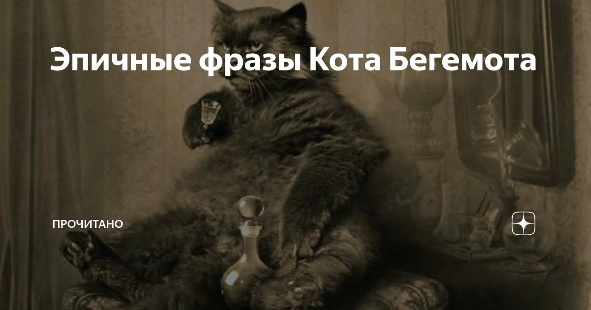 Фразы кота бегемота