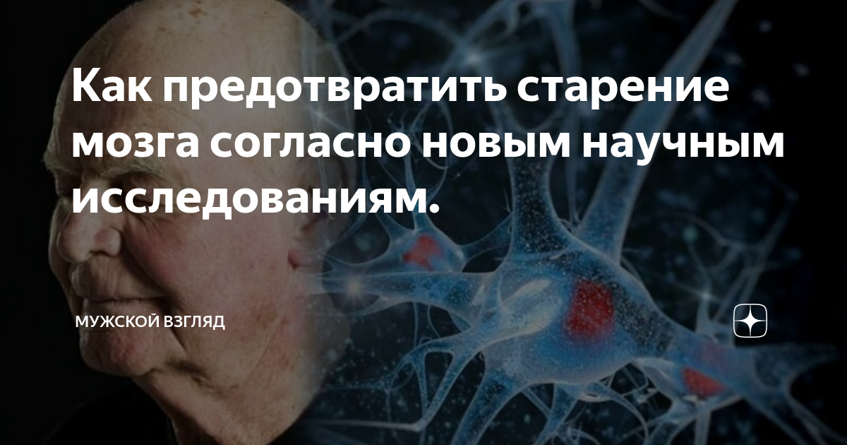 Японский тест на старение мозга картинка ответы