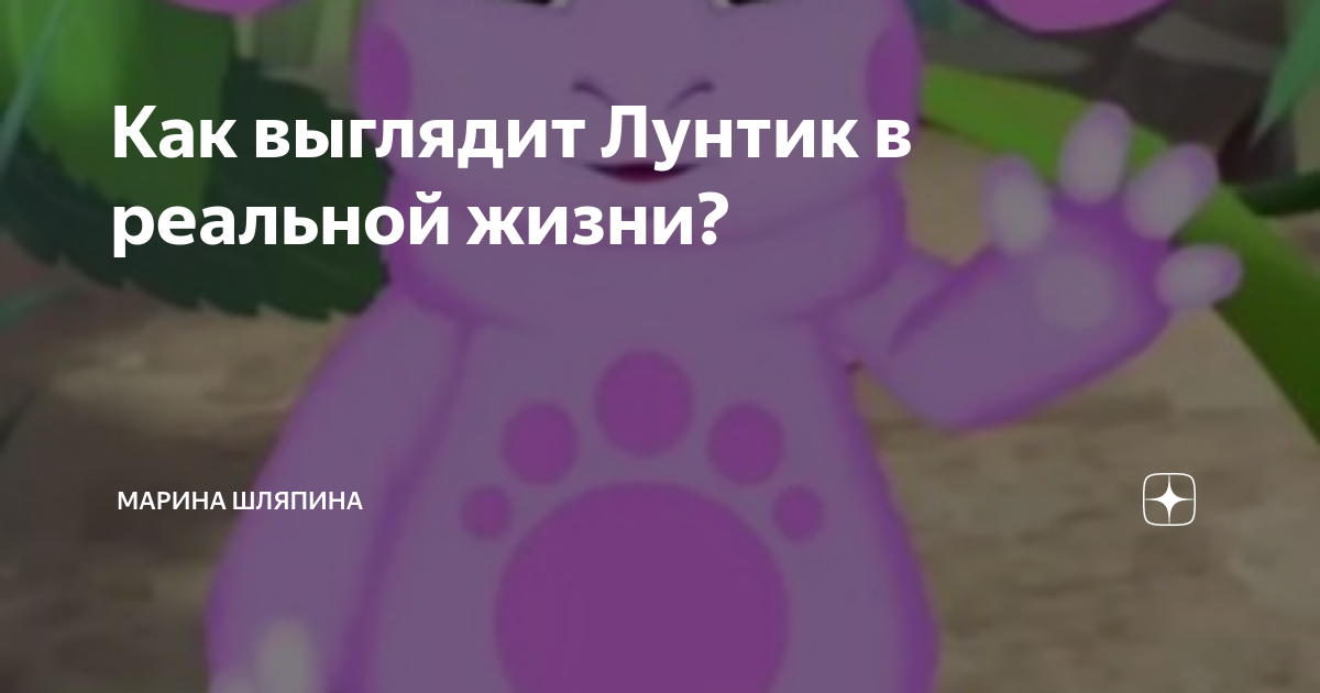 Как выглядит Лунтик в реальной жизни? Марина Шляпина Дзен