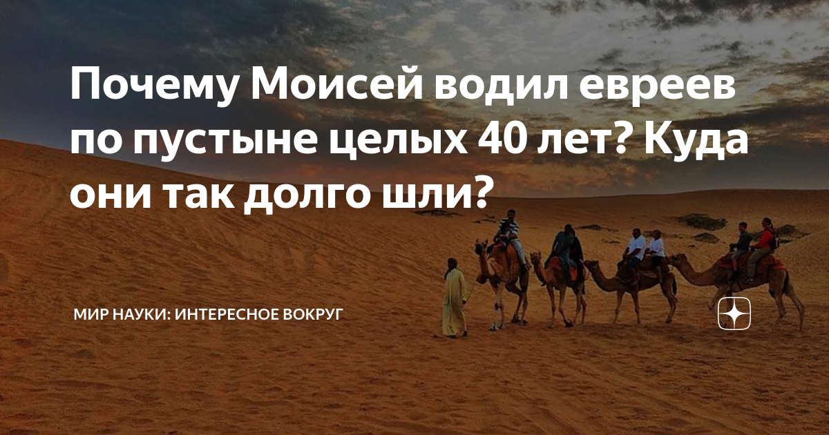 Кто водил евреев 40 лет по пустыне. Моисей 40 лет по пустыне. Водил евреев по пустыне. Моисей 40 лет водил евреев по пустыне. Евреи в пустыне 40 лет.