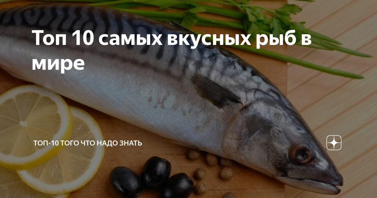самая вкусная рыба в океане