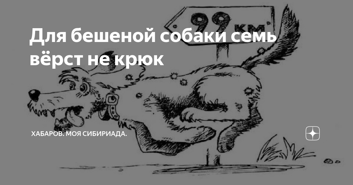 Сто верст не крюк для бешеной