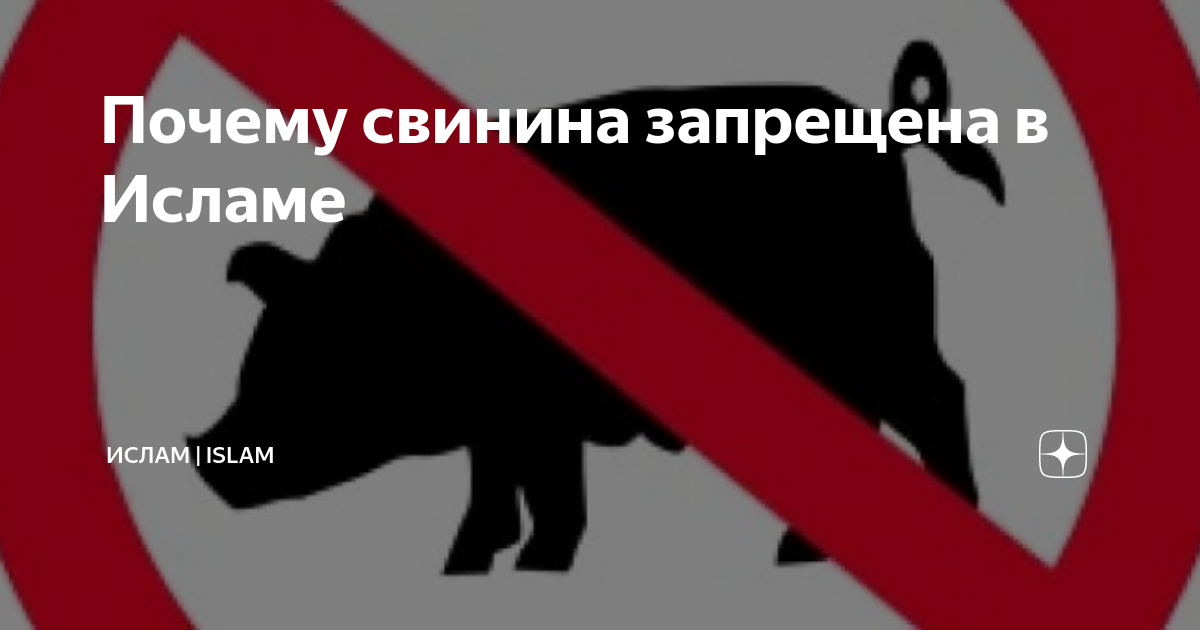 Почему так много людей не едят свинину, и при чем тут миграция народов — читать на 4печника.рф