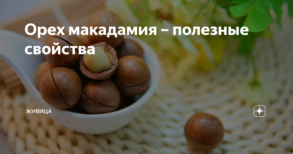 Царь орех макадамия