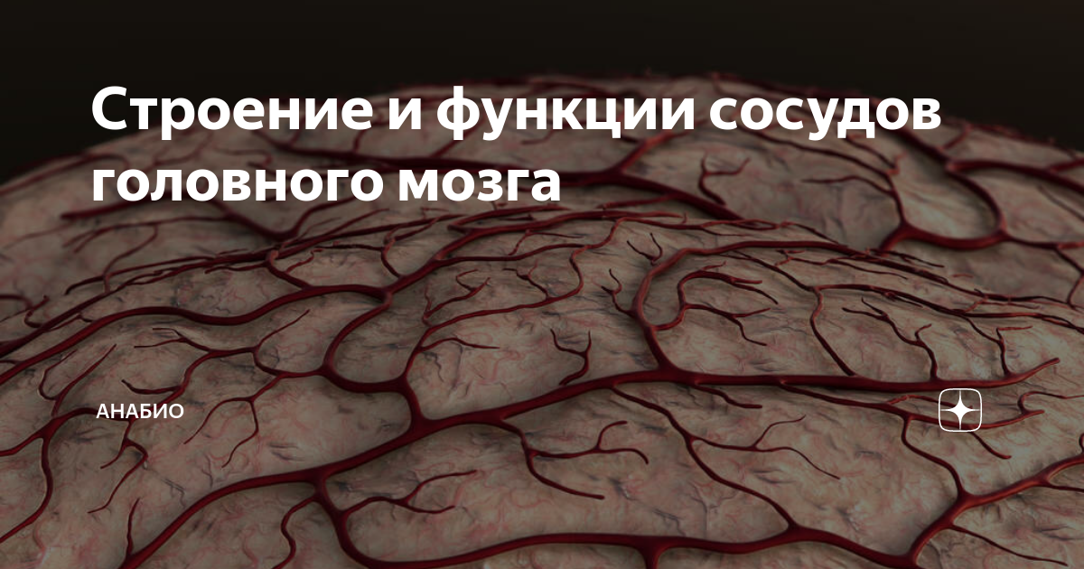 Стеноз сосудов - лечение, симптомы заболевания, причины появления, диагностика