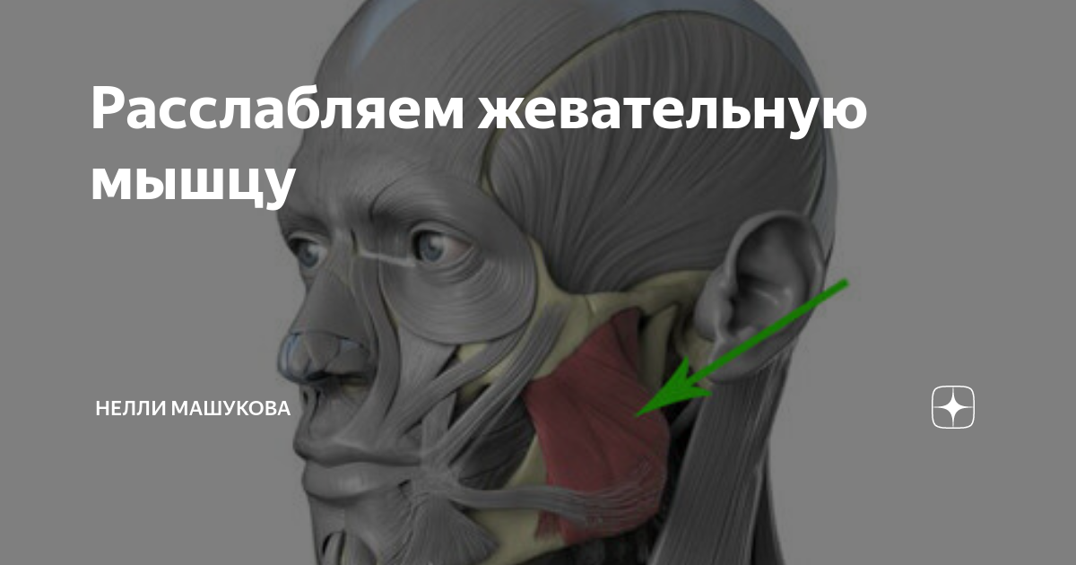 Как расслабить челюстные мышцы