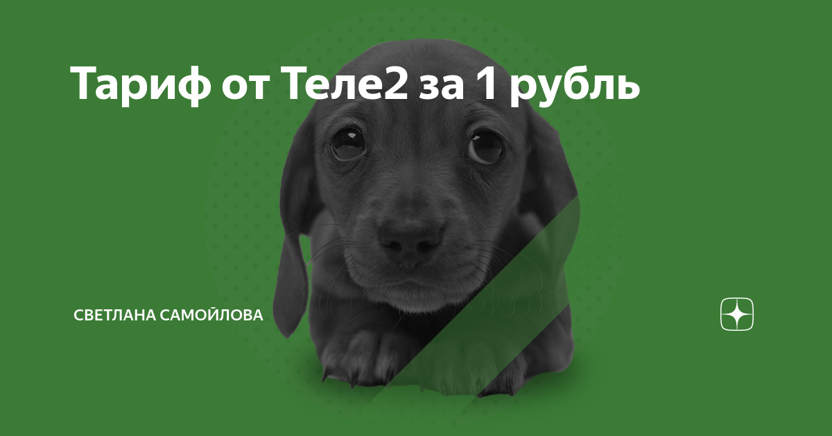 Тариф от Теле2 за 1 рубль | Светлана Самойлова | Дзен