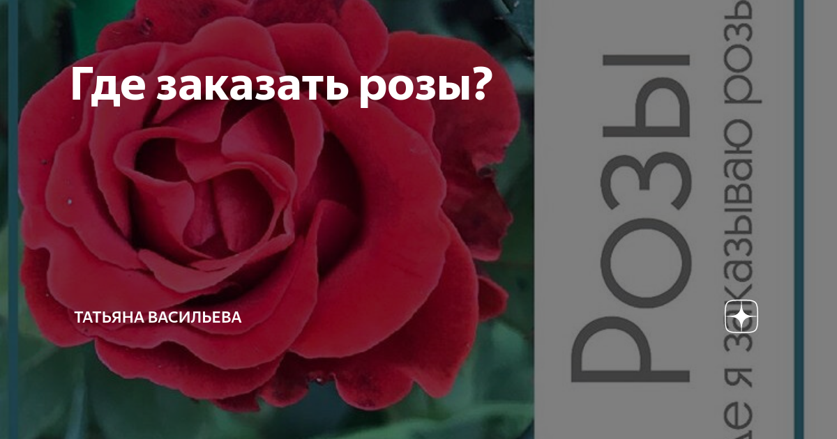 Овчаров питомник роз каталог на весну. Овчаров питомник роз интернет магазин. Интернет магазин Сергея Овчарова каталог розы. Розы Овчарова интернет-магазин саженцев роз.