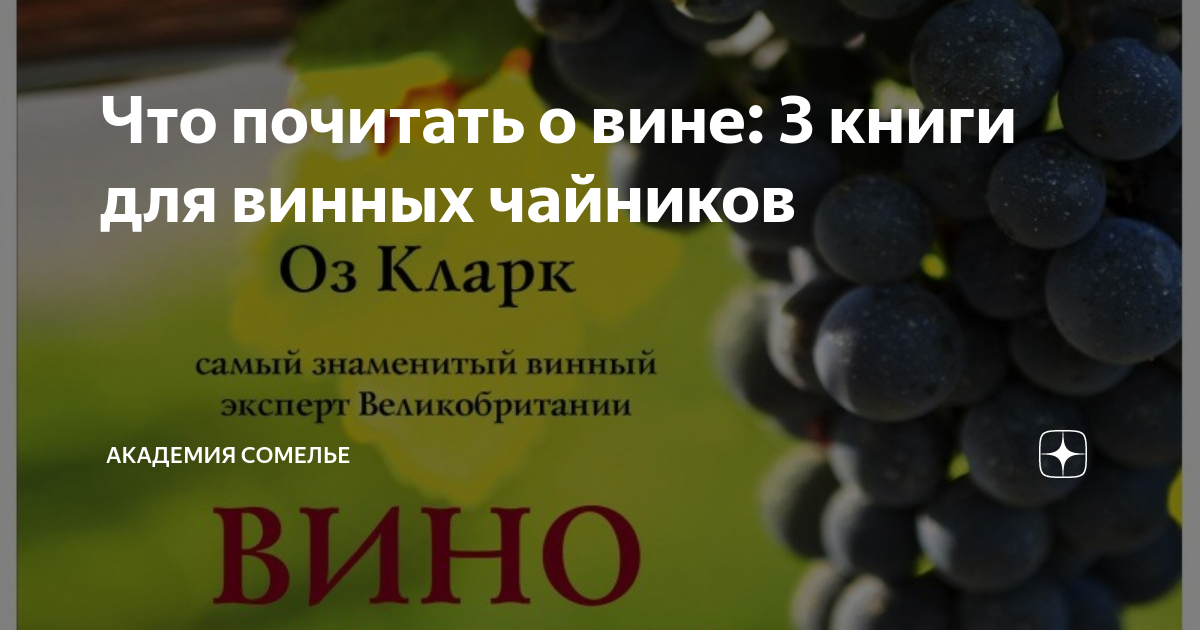 Что почитать о вине: 3 книги для винных чайников | АКАДЕМИЯ СОМЕЛЬЕ | Дзен