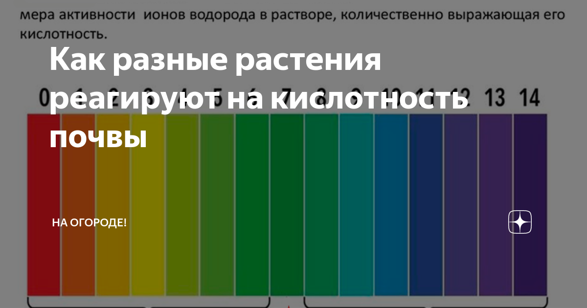 Кислотность зеленый. Шкала кислотности почвы. Кислотность почв в Ленинградской области. Кислотность почвы для петунии. Кислотность почвы для растений таблица для овощей и фруктов.