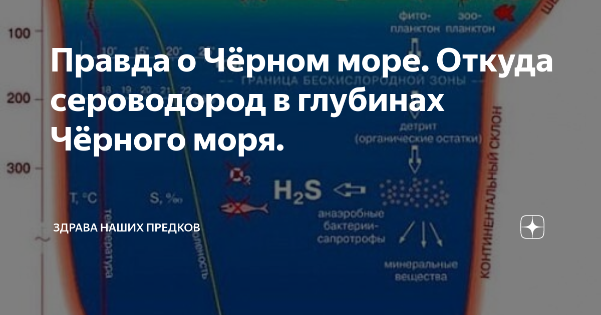 Правда о Чёрном море. Откуда сероводород в глубинах Чёрного моря ...