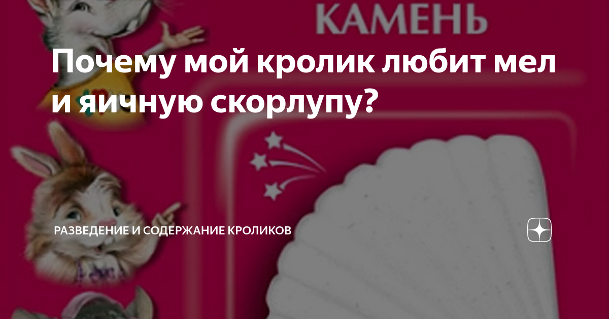 Аневризма матки у кроликов или эндометриальная венозная аневризма кроликов