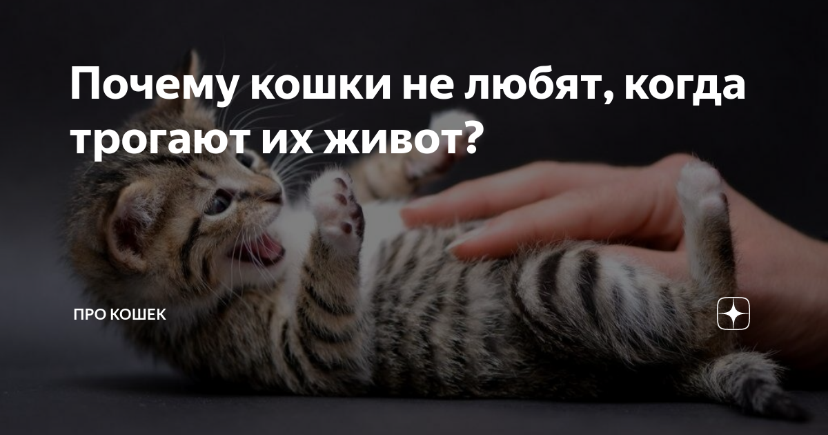 Почему не трогают. Почему не трогают