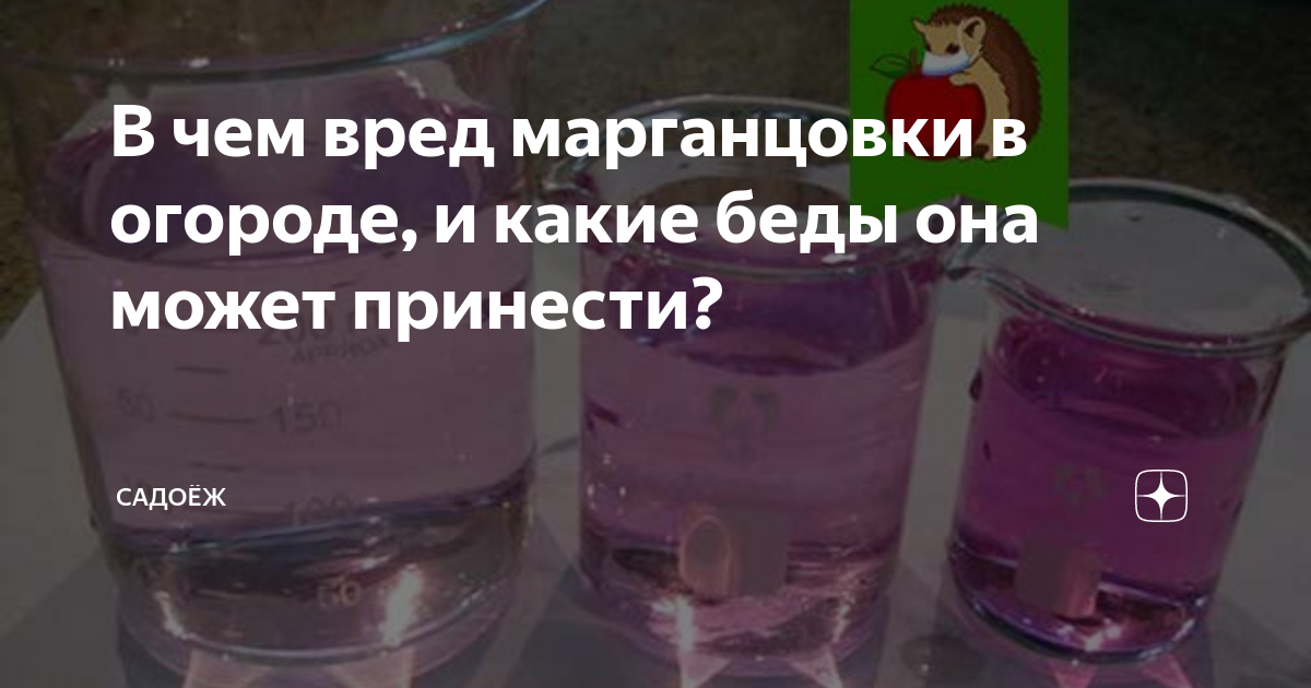 Можно добавить марганцовку в бассейн. Можно добавить марганцовку в бассейн