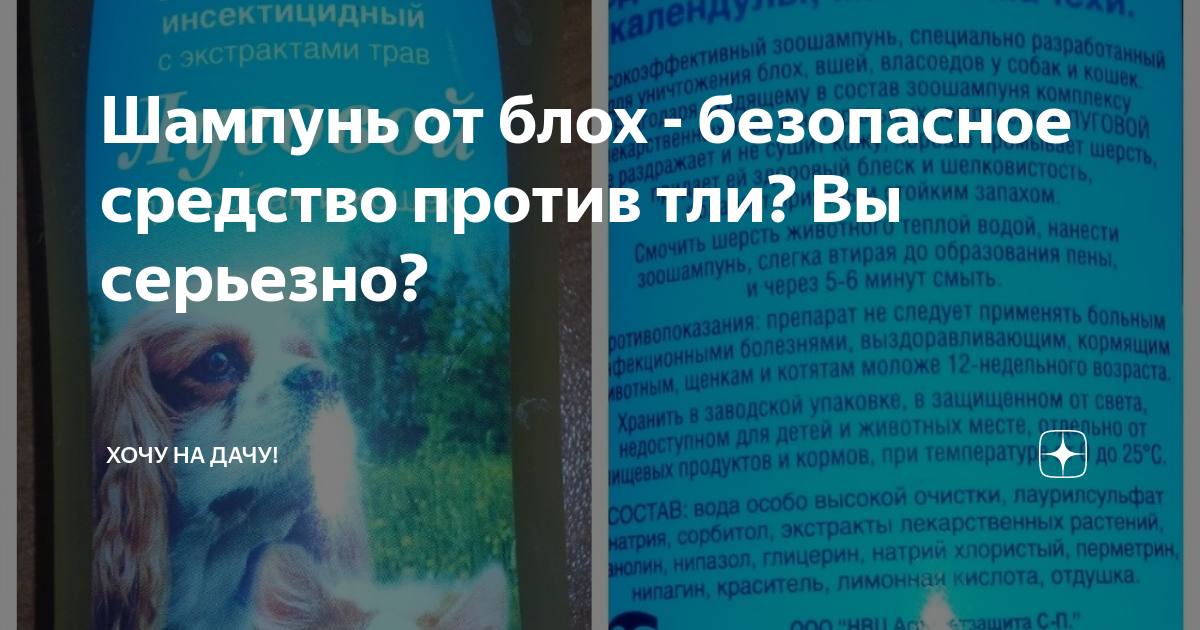 Шампунь с перметрином от тли. Собачий шампунь. Шампунь против блох для кошек и собак против муравьев и тли. Как использовать в огороде шампунь для животных от блох.