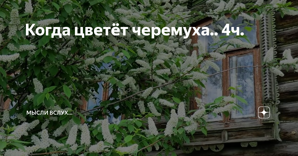 Я не поверила в примету давнюю. Я не поверила в примету давнюю