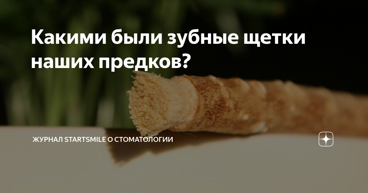 Какими были зубные щетки наших предков? | Журнал Startsmile о ...