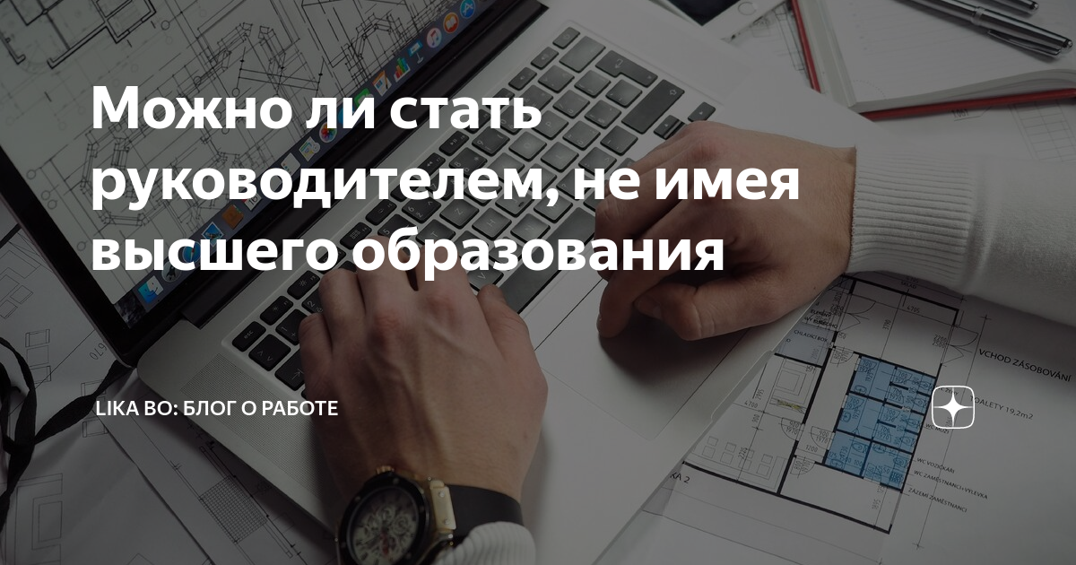 Как стать директором. Можно ли стать предпринимателем без высшего образования. Может ли быть директор без высшего образования. Можно ли стать учёным без высшего образования. Можно ли открыть бизнес без высшего образования.