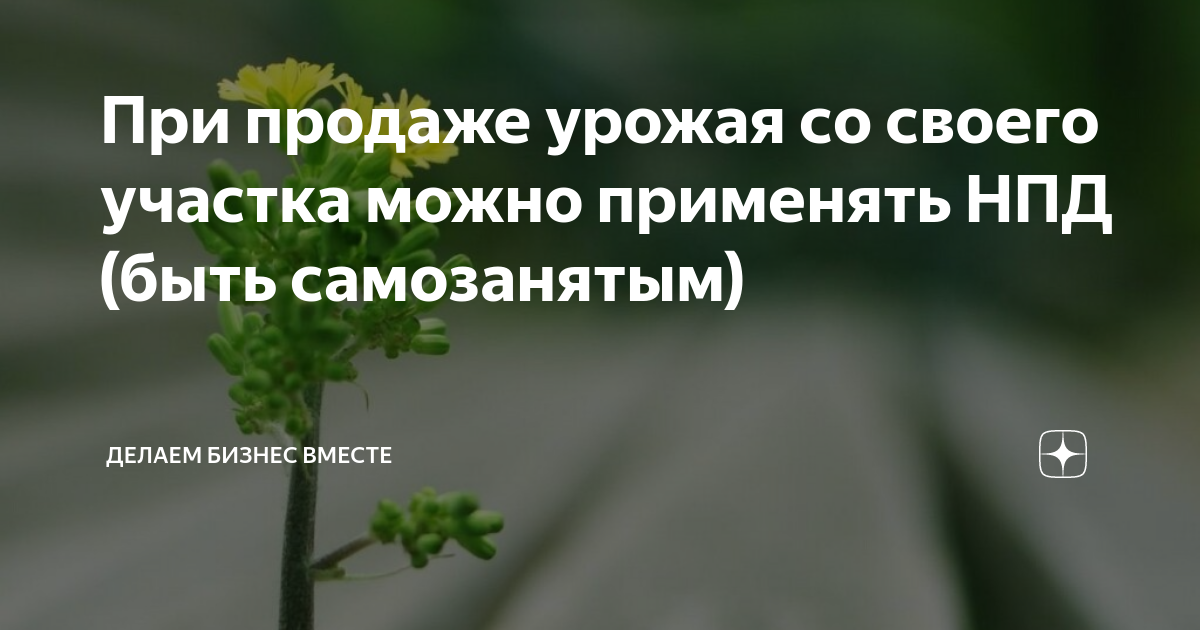При продаже урожая со своего участка можно применять НПД (быть ...