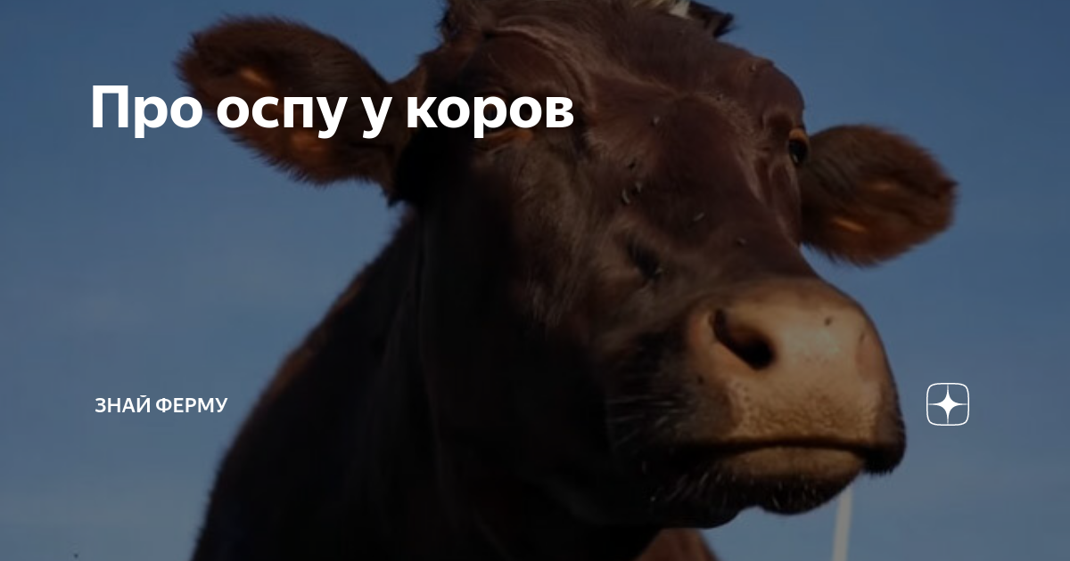 Случай ложной коровьей оспы