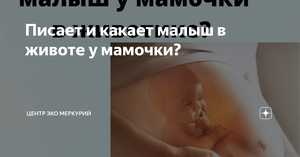 мама писает Писает и какает малыш в животе у мамочки? | Центр ЭКО Меркурий | Дзен