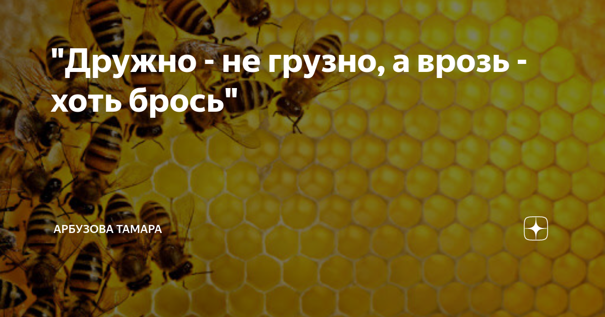 "Дружно - не грузно, а врозь - хоть брось" | Арбузова Тамара | Дзен